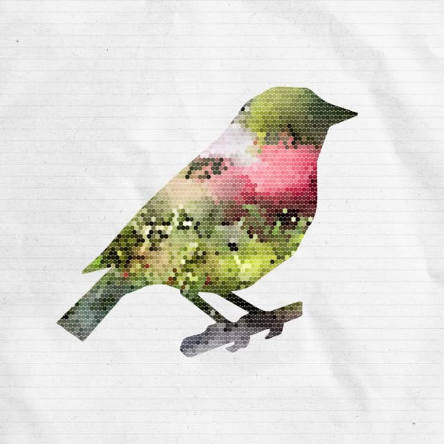 Robin logo